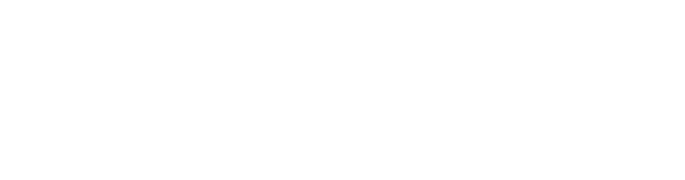 logo webenapp